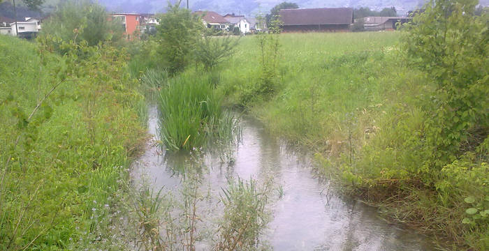 Lebensraum Gewaesser © Pro Natura