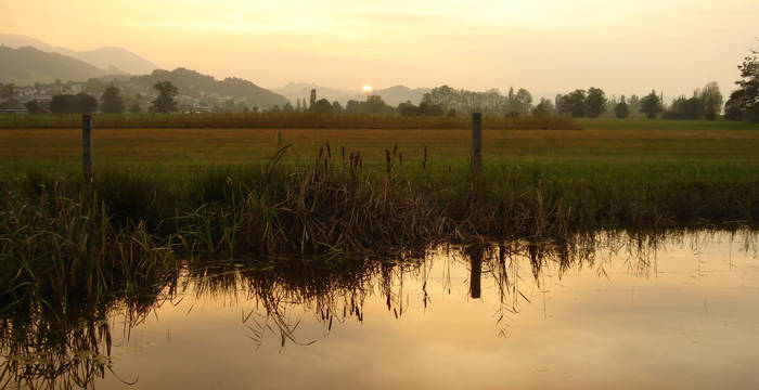 Moorlandschaft Frauenwinkel © Pro Natura