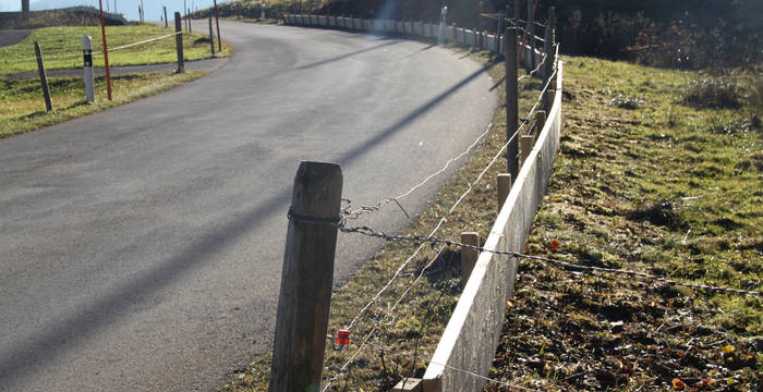 Leitwerk aus Holz