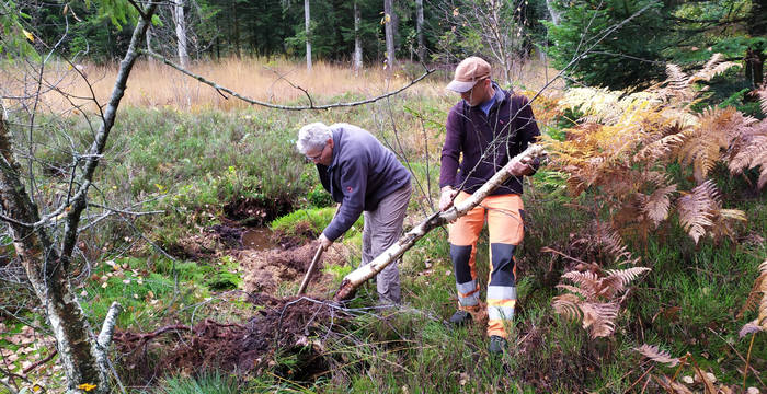 Enzenau Arbeit