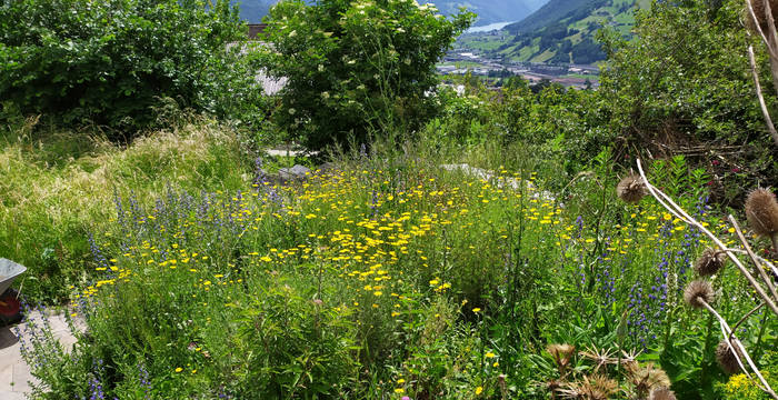 Naturgarten Schwyz