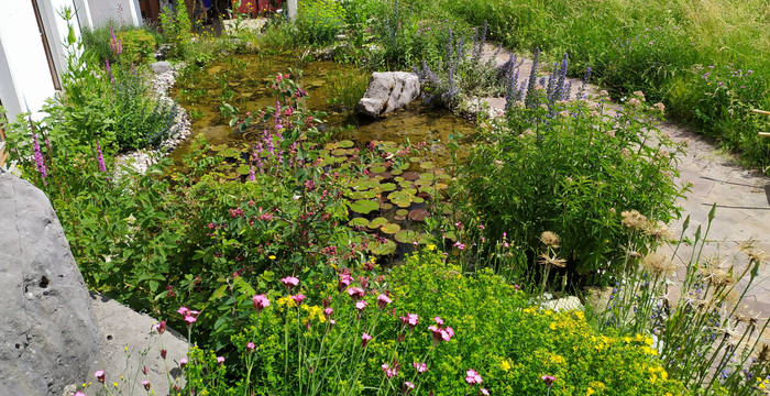 Naturgarten © Heidi Schuler