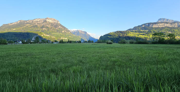 Hopfräben
