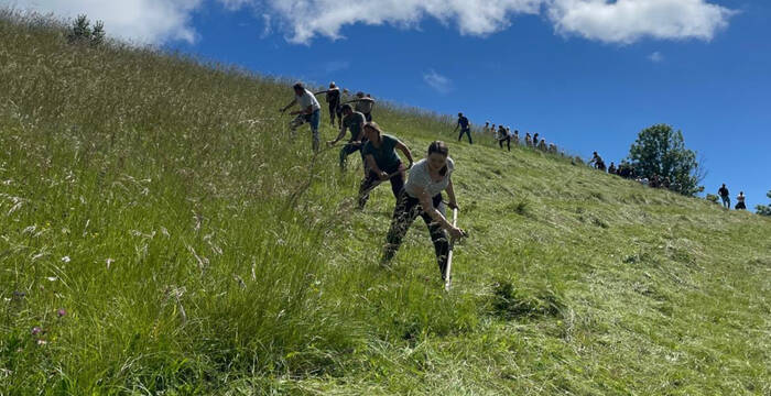 Handmähen am Gerzensee © Margrit Föhn