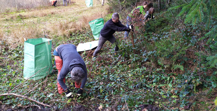 Moorpflege Enzenau © Heidi Schuler