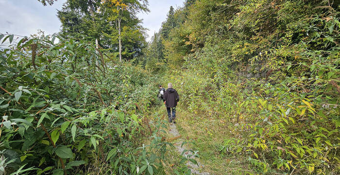 Tramtrasse Brunnen-Morschach © Michael Erhardt