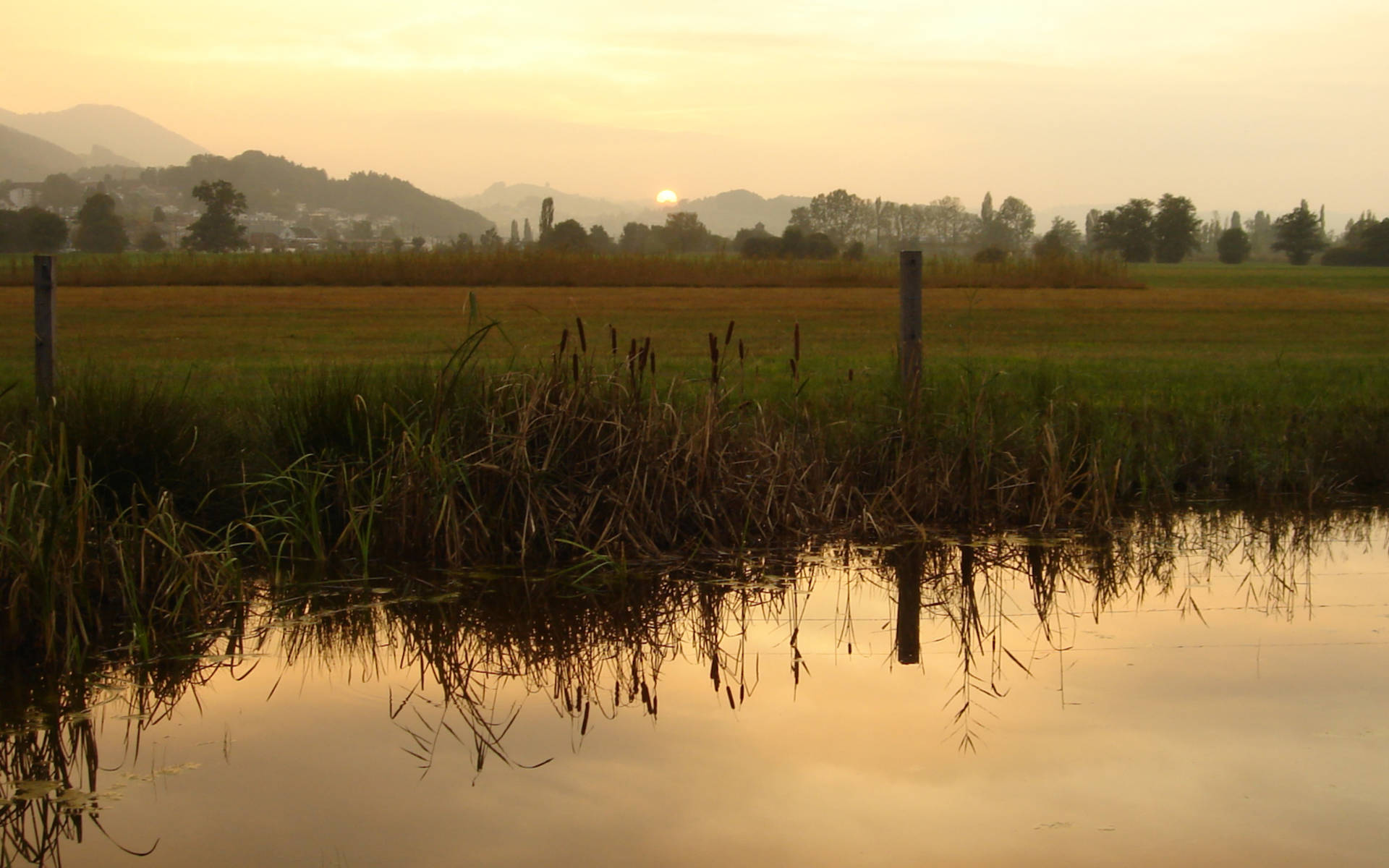 Moorlandschaft Frauenwinkel © Pro Natura