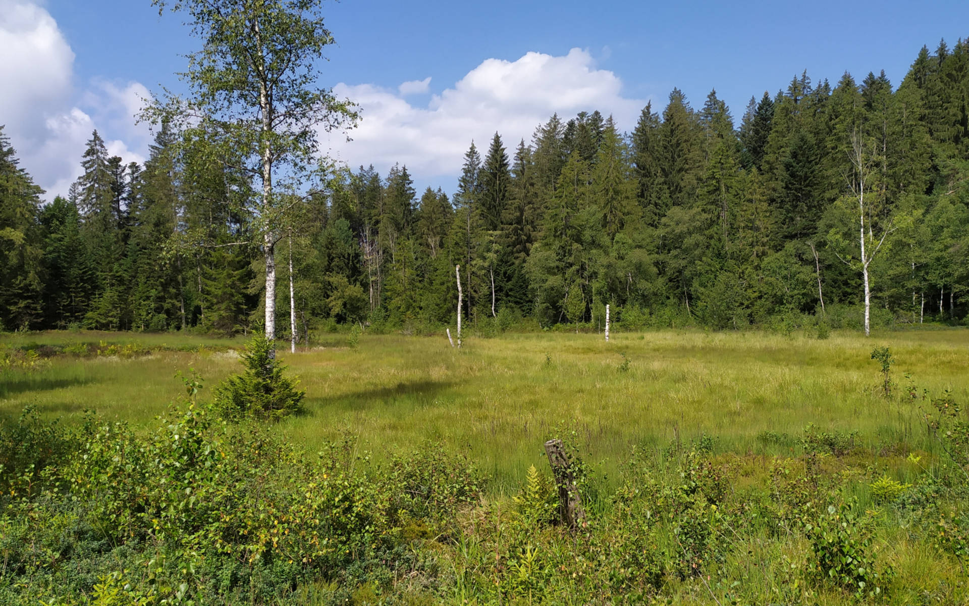 Enzenau © Heidi Schuler