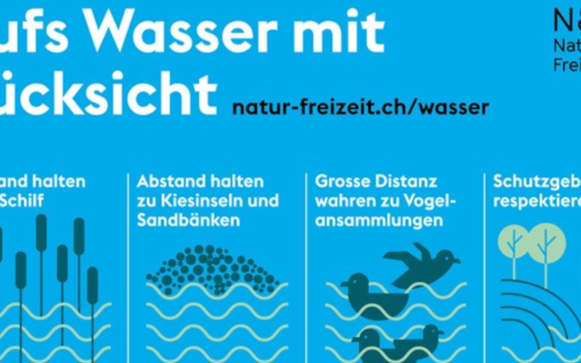 Wasser Zürichsee © Natur Freizeit