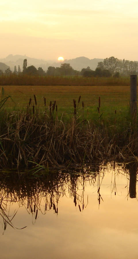 Moorlandschaft Frauenwinkel