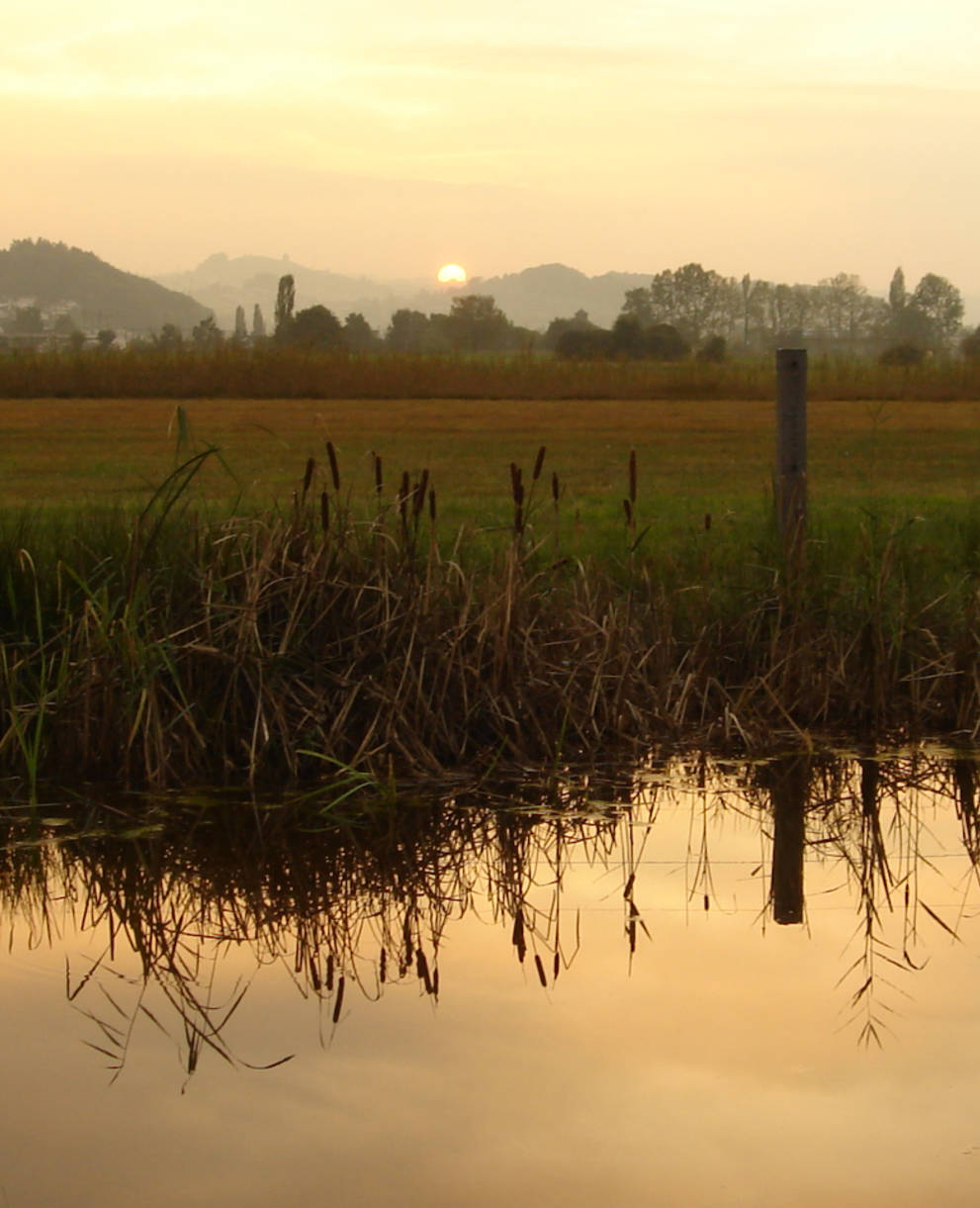 Moorlandschaft Frauenwinkel