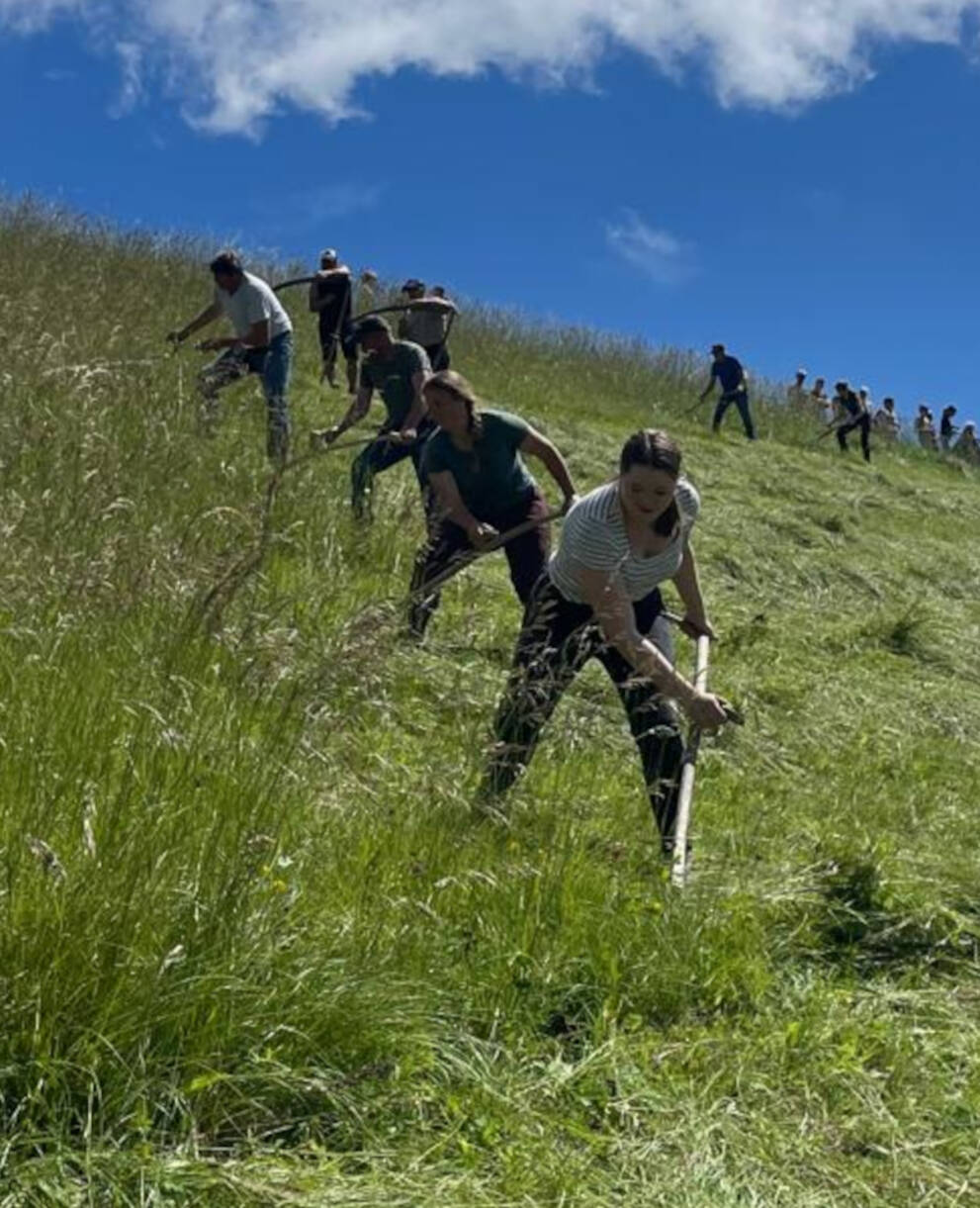 Handmähen am Gerzensee © Margrit Föhn