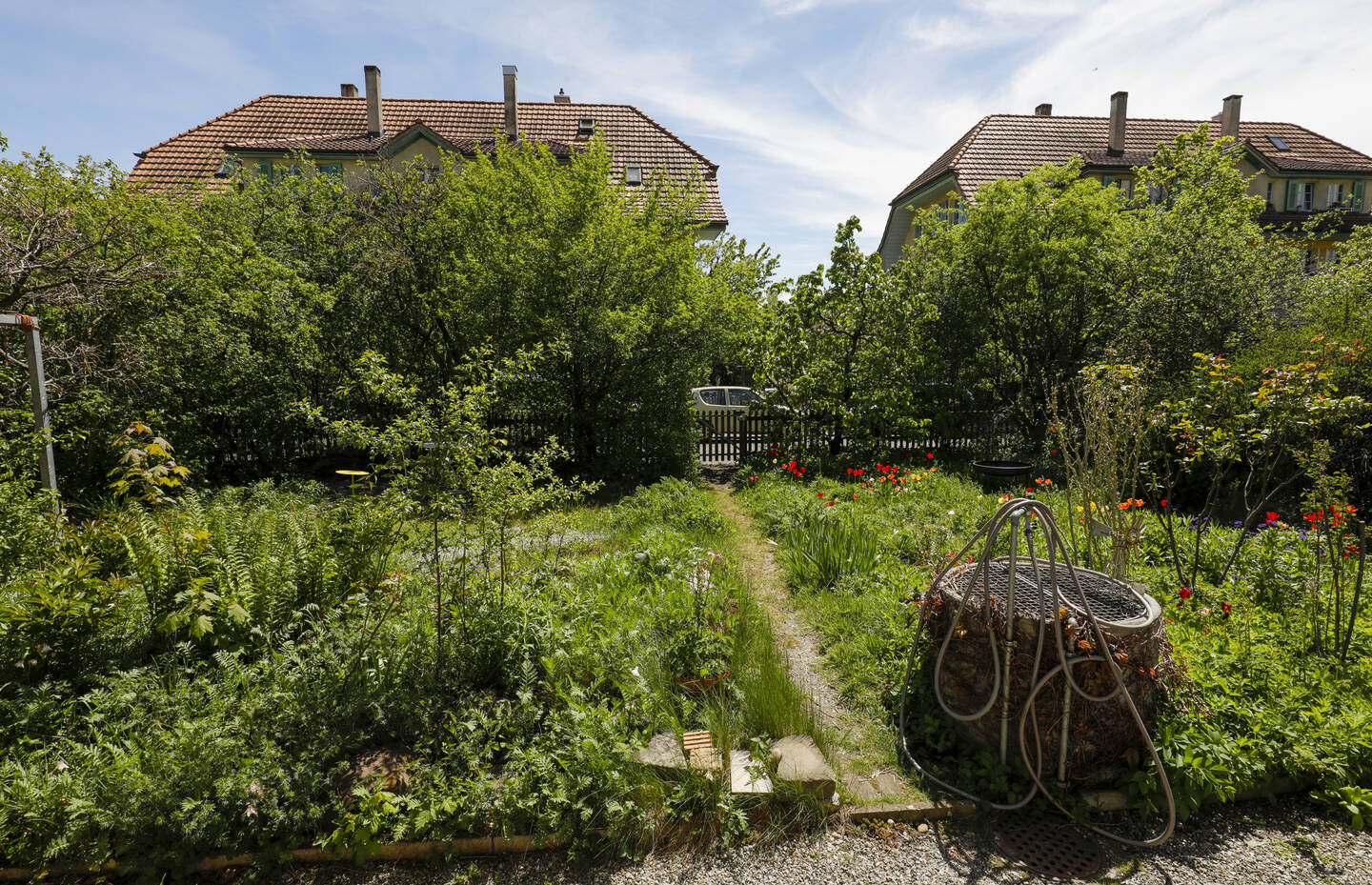Naturgarten